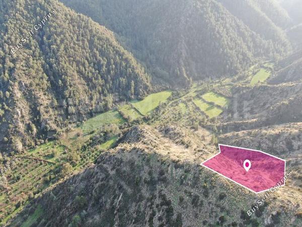 land for sale pigenia nicosia 7872433 image 11385195