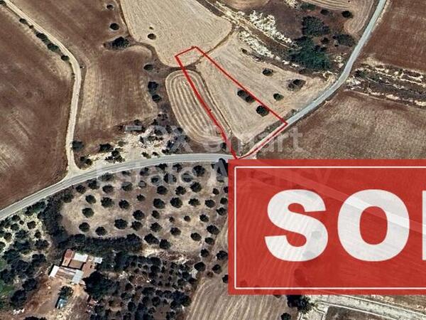 land sold pyla larnaca 1231433 image 2322816