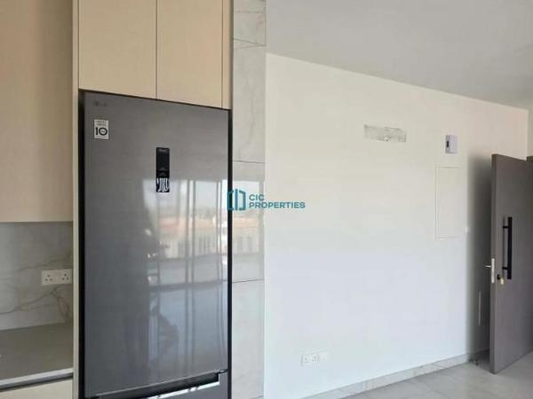 2 bedroom penthouse for rent aradippou larnaca 8827533 image 16982061