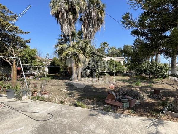 3 bedroom detached house for sale kiti larnaca 8307533 image 15654332