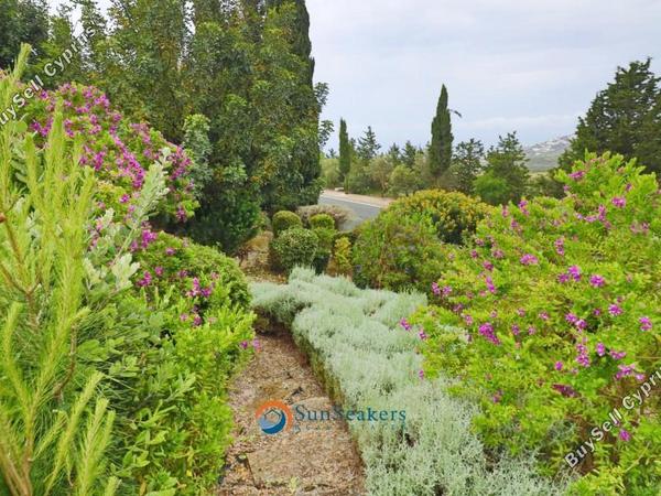 3 bedroom detached house for sale tsada paphos 8587533 image 16611202