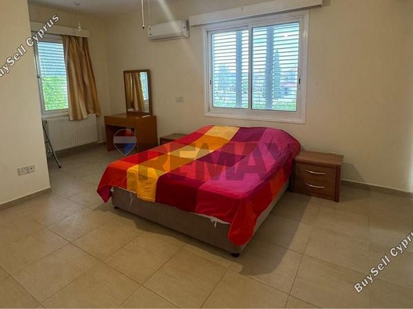 5 bedroom detached house for rent strovolos nicosia 8798533 image 16716997