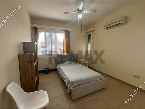 5 bedroom detached house for rent strovolos nicosia 8798533 image 16716998