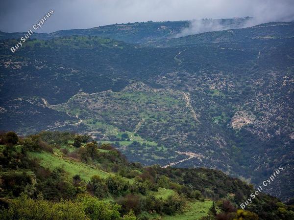 land for sale akoursos paphos 8628533 image 16717250