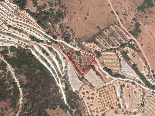 land for sale kallepeia paphos 8630533 image 16685624