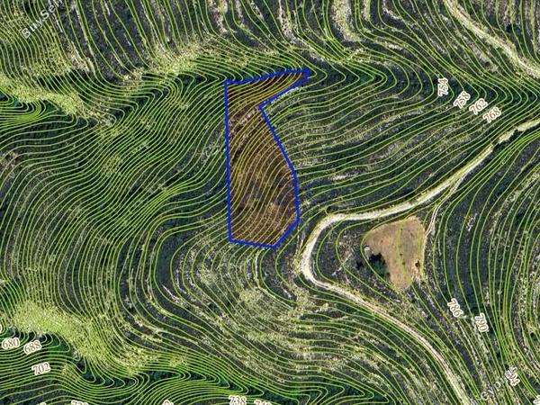 land for sale lofou limassol 8698533 image 16205376