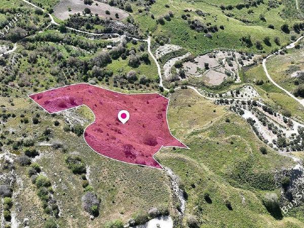 land for sale mesa chorio paphos 1897533 image 14206134