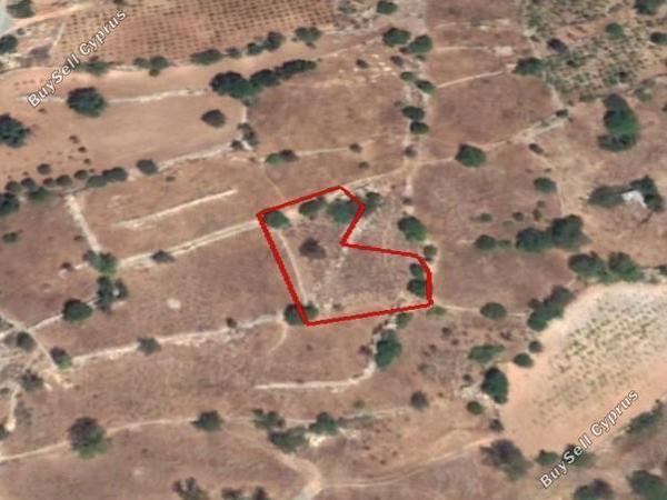 land for sale pachna limassol 1548533 image 5892917