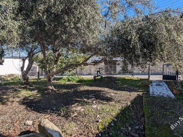 land under offer giolou paphos 1668533 image 14187064