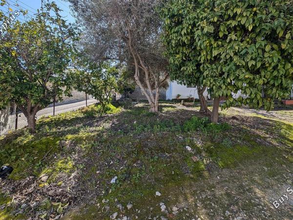 land under offer giolou paphos 1668533 image 14187073