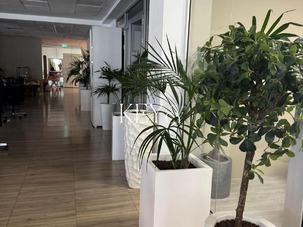 studio office for rent linopetra limassol 8890533 image 17320653