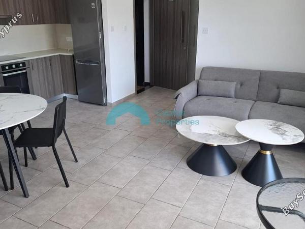 1 bedroom apartment for rent larnaca municipality larnaca 8710633 image 16547378