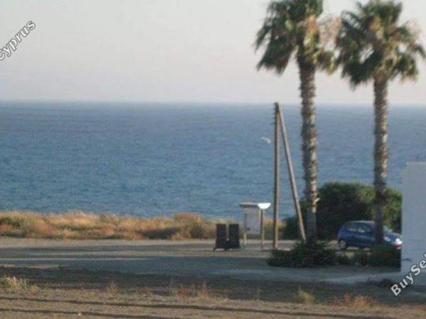 3 bedroom detached house for sale kissonerga paphos 1354633 image 5604841