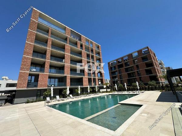 2 bedroom apartment for rent potamos germasogeias limassol 8570733 image 15634796
