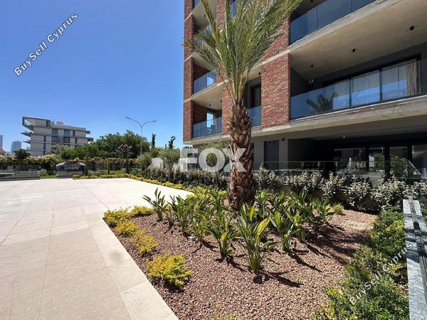2 bedroom apartment for rent potamos germasogeias limassol 8570733 image 15634800