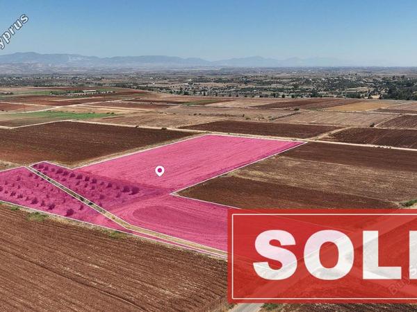 land sold orounta nicosia 1544733 image 3837004