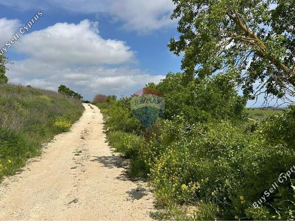 land for sale kathikas paphos 8664833 image 15995110