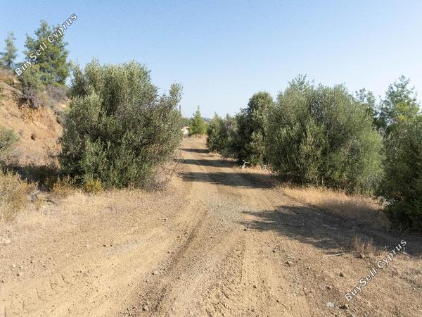 land for sale lythrodontas nicosia 8897833 image 17352694