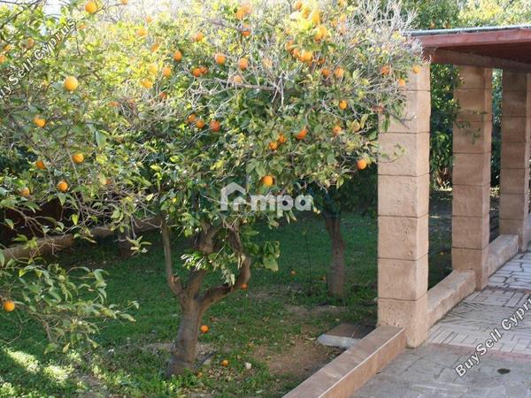 6 bedroom detached house for sale agioi trimithias nicosia 1727933 image 5499729