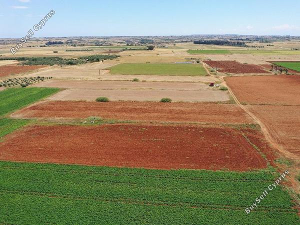 land for sale avgorou famagusta 822933 image 15601896