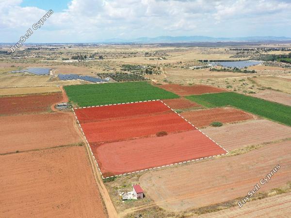 land for sale avgorou famagusta 822933 image 15601897