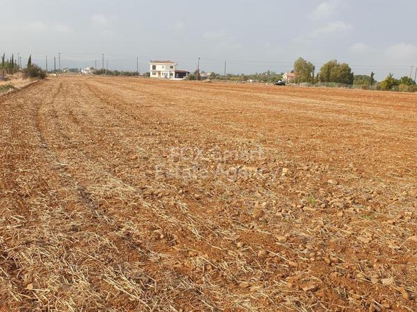 land for sale pera orinis nicosia 1627933 image 12514637