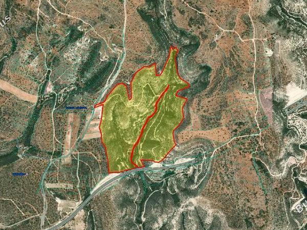land for sale sotira lemesou limassol 8194933 image 13658699