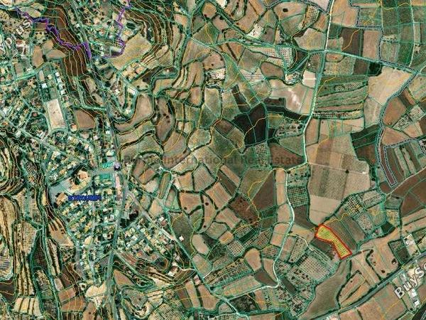 land for sale stroumbi paphos 7545933 image 10304682