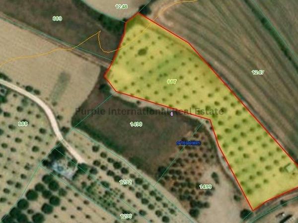 land for sale stroumbi paphos 7545933 image 10304683