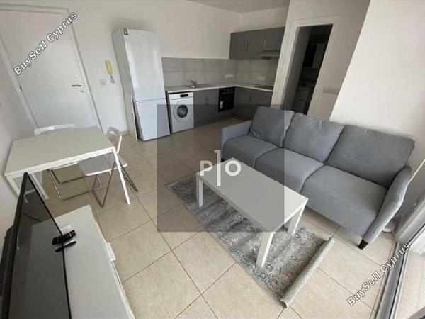 1 bedroom apartment for rent aglantzia nicosia 8612043 image 16425334