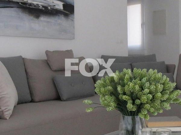 3 bedroom ground floor apartment for sale prodromi paphos 8473043 image 15214841