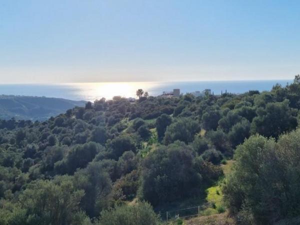 4 bedroom detached house for sale secret valley paphos 8629043 image 16028537