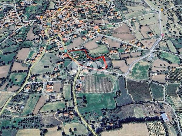 land for sale anogyra limassol 1291043 image 5586018