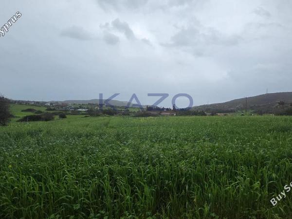 land for sale monagroulli limassol 8249043 image 13865709