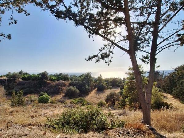 land for sale nea dimmata paphos 8957043 image 17771818