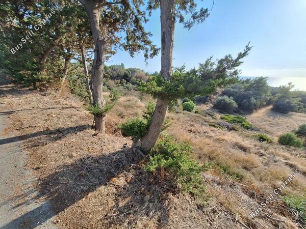 land for sale nea dimmata paphos 8957043 image 17771820