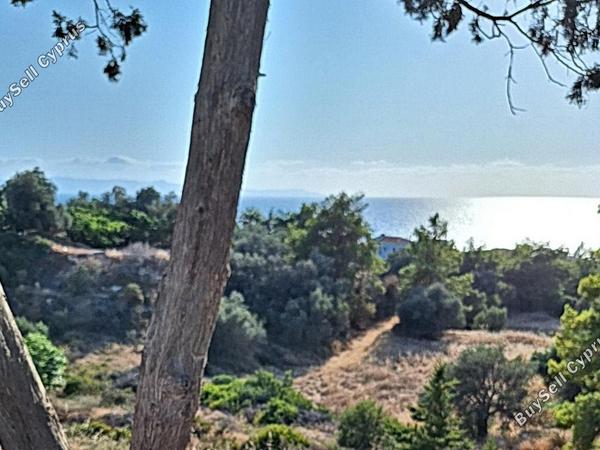 land for sale nea dimmata paphos 8957043 image 17771821