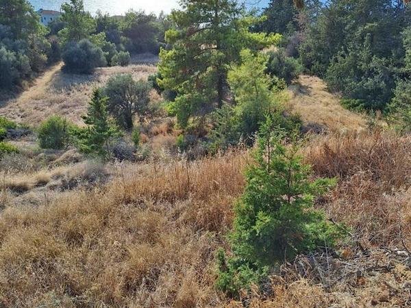 land for sale nea dimmata paphos 8957043 image 17771823