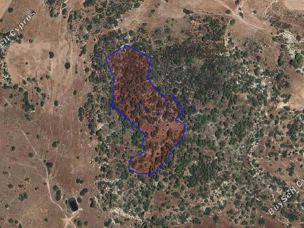 land for sale parekklisia limassol 8302043 image 14087365