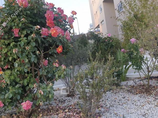 3 bedroom apartment for sale latsia nicosia 8360143 image 14544357