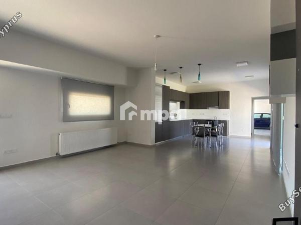 3 bedroom detached house for sale arediou nicosia 1730143 image 5554931