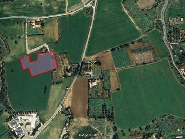 land for sale agios theodoros larnacas larnaca 1615143 image 7208524