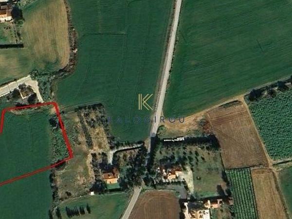 land for sale agios theodoros larnacas larnaca 1615143 image 7208525