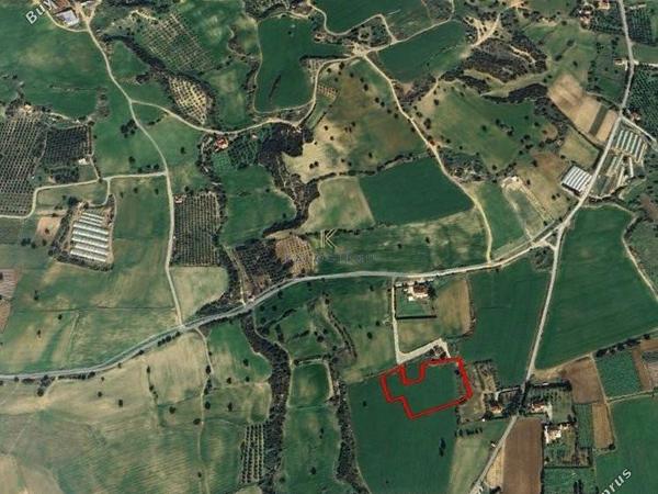 land for sale agios theodoros larnacas larnaca 1615143 image 7208526