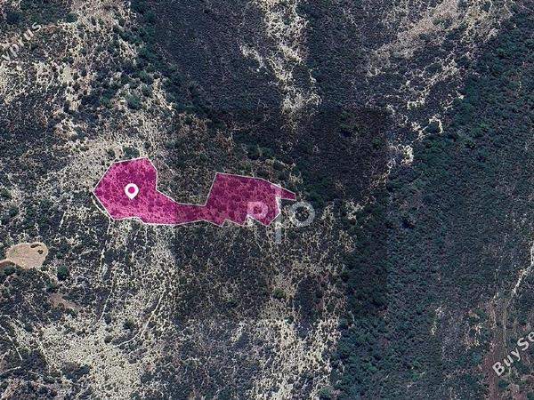 land for sale anogyra limassol 8275143 image 15157866