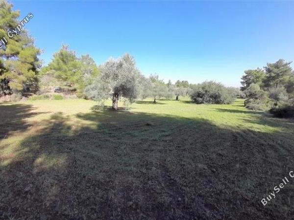 land for sale lythrodontas nicosia 1181143 image 16175922