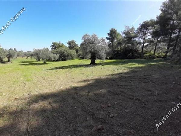 land for sale lythrodontas nicosia 1181143 image 16175926