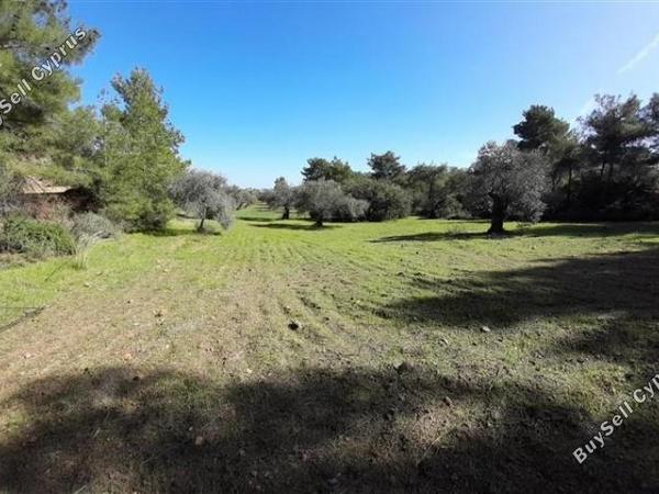land for sale lythrodontas nicosia 1181143 image 16175927