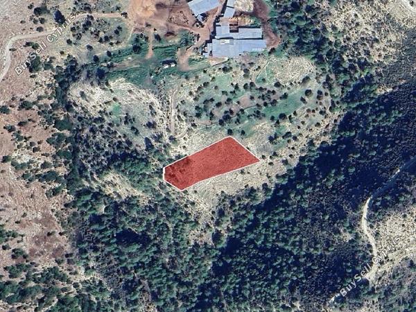 land for sale mousere paphos 1279143 image 15600370