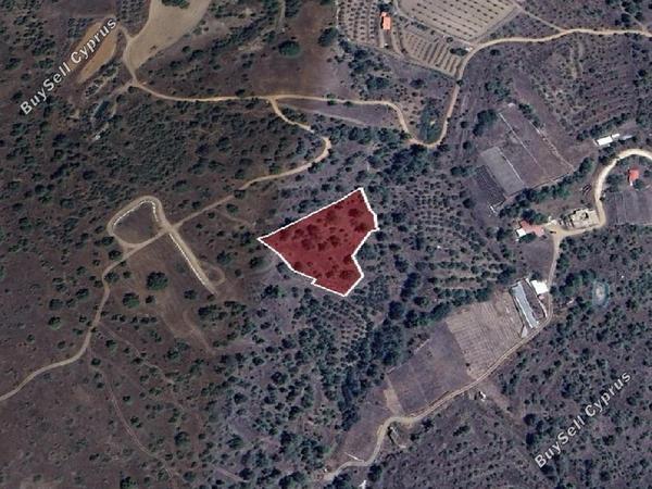 land for sale nikitari nicosia 8716143 image 16294496